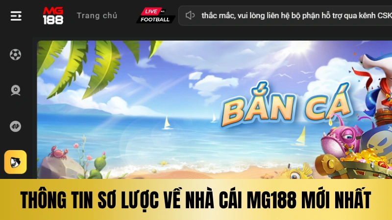 Thông tin sơ lược về nhà cái Mg188 mới nhất Thông tin sơ lược về nhà cái Mg188 mới nhất