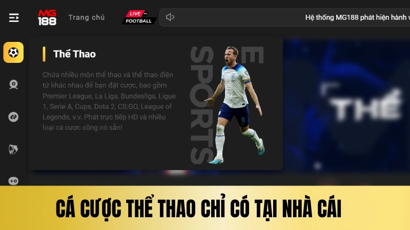 Cá cược thể thao trực tuyến hấp dẫn chỉ có tại nhà cái