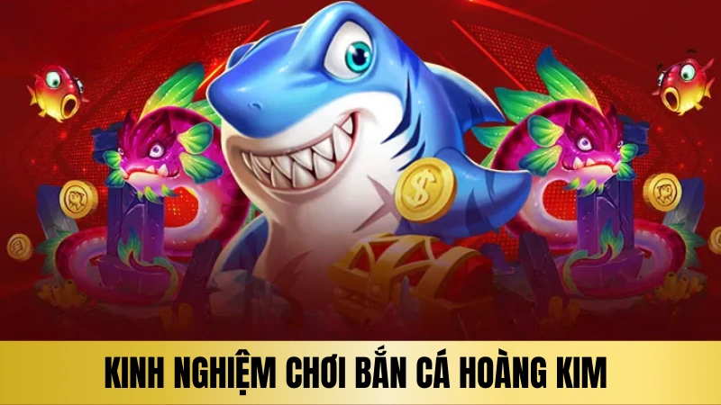 Mẹo chơi bắn cá hoàng kim Mẹo chơi bắn cá hoàng kim