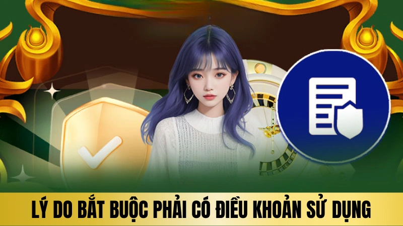 Lý do bắt buộc phải có điều khoản sử dụng Lý do bắt buộc phải có điều khoản sử dụng