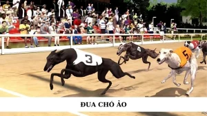 đua chó ảo
