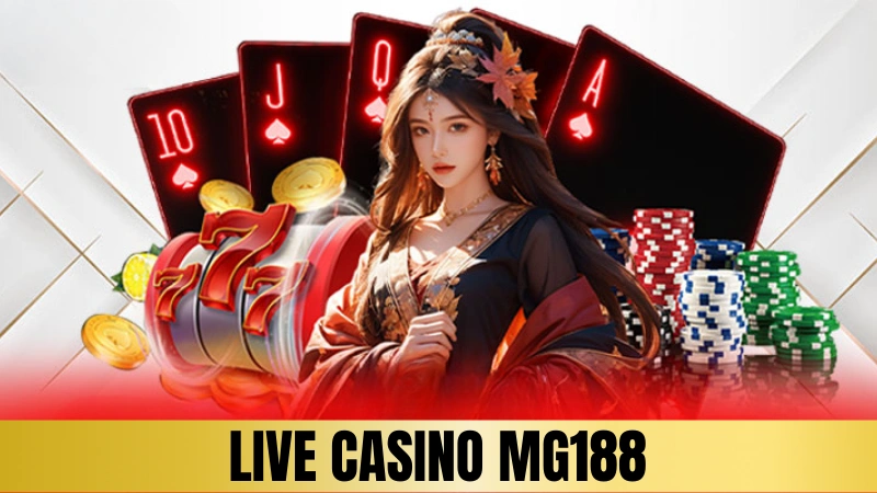 Giải mã sức hút casino Mg188 Giải mã sức hút casino Mg188