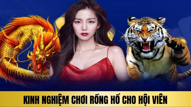 Kinh nghiệm tham gia chơi rồng hổ cho hội viên Kinh nghiệm tham gia chơi rồng hổ cho hội viên