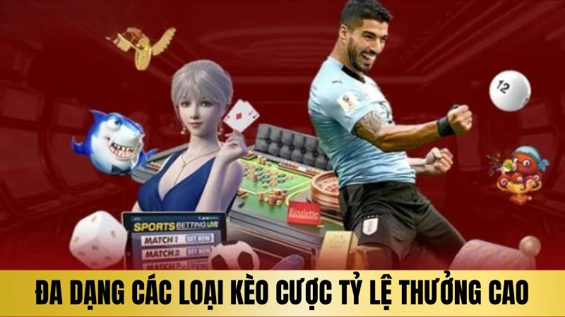 Đa dạng các loại kèo cược tỷ lệ thưởng cao Đa dạng các loại kèo cược tỷ lệ thưởng cao