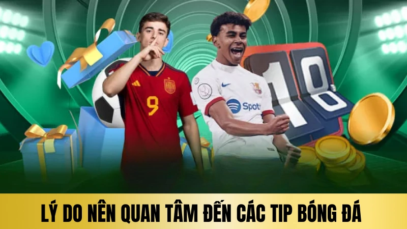 Lý do người chơi nên quan tâm đến các tip bóng đá hiện nay Lý do người chơi nên quan tâm đến các tip bóng đá hiện nay
