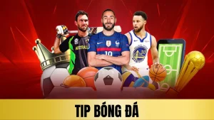 Tip bóng đá